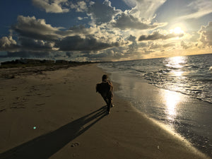 Those who wander are not lost. Dog beach, St. George Island, Florida. Lola running on the beach beach, free as a bird. Beach life.