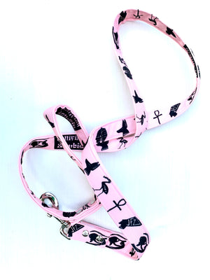 Egyptian Hieroglyphics Dog Leash {Pink}