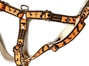 Egyptian Dog Harness {Orange}