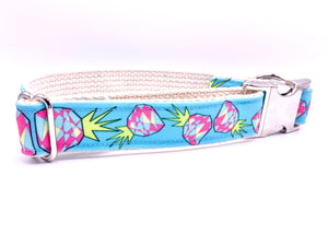 Funky Pineapple Punch Dog Collar {Teal Blue}